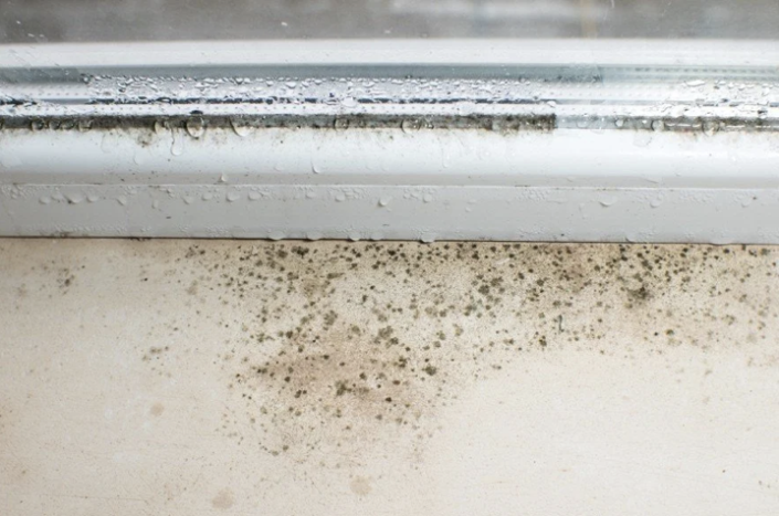 Musty Window How to Get Rid of Condensation on Windows During the Minnesota Winter ...